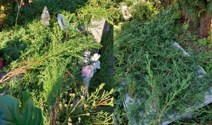 Muro crollato e detriti sui vialetti: rabbia al cimitero di Sant'Anna