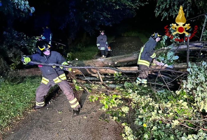 Emergenza maltempo, oltre 60 interventi dei Vigili del Fuoco a Trieste nelle ultime 24 ore 