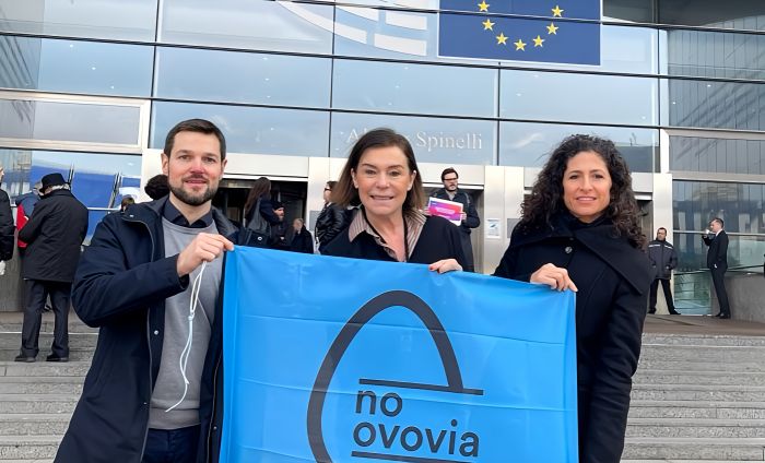 Ovovia: Pd Trieste, a Bruxelles le ragioni del ‘no’ al progetto
