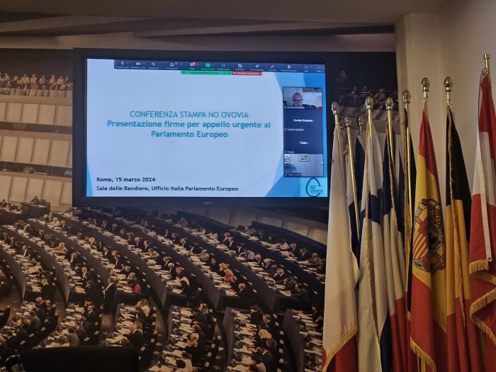 "Ovovia, tutto Pd mobilitato contro scempio paesaggio" 