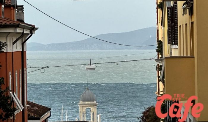 Acqua bicolore nel Golfo di Trieste 