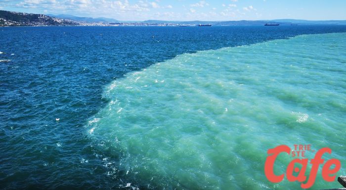 Il Golfo di Trieste dà spettacolo! Acqua bicolore e grande sorpresa! 