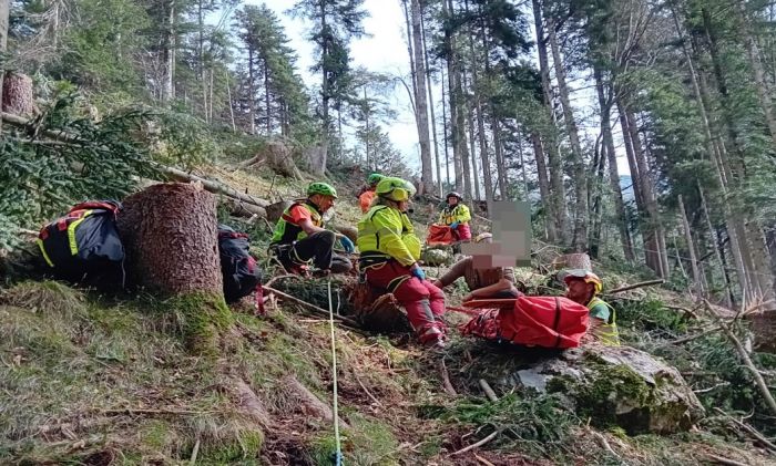 Boscaiolo travolto ad Arta Terme: trauma cranico