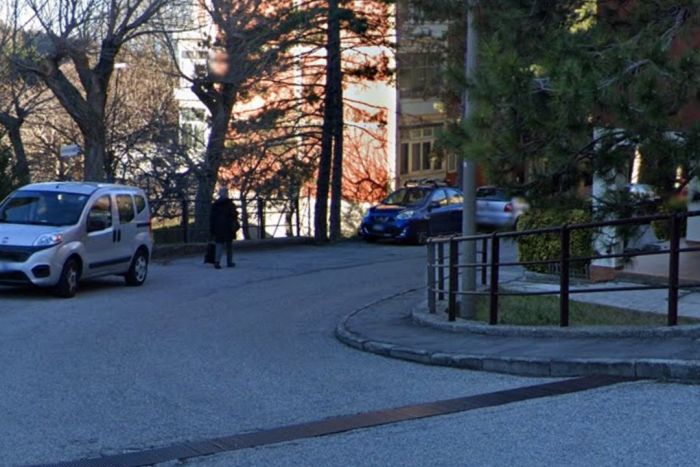 Rozzol, cane morde un bambino ma proprietario e animale scappano. Appello della mamma 