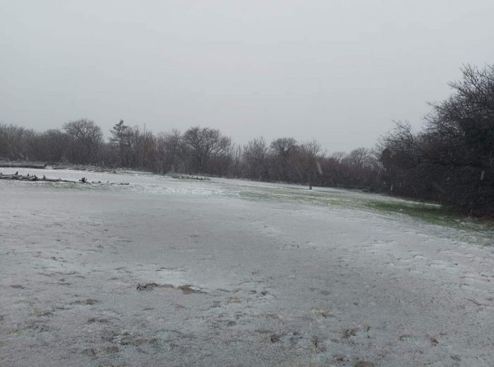 Allerta Meteo, Trieste nella morsa del maltempo: raffiche di Bora e gelo in agguato