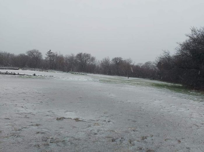 Nevica a Basovizza 