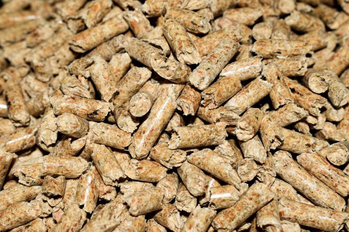 Fvg: Confcommercio, rialzo Iva su pellet preoccupa categoria, governo ci ripensi