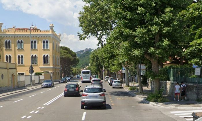 Dolore a Barcola, investe mortalmente un cane e scappa 