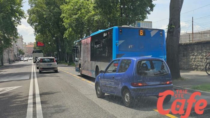 Viale Miramare, scontro auto - bus: rallentamenti alla circolazione 