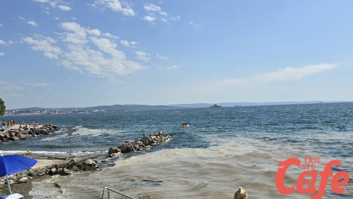 Tornano le mucillagini nel Golfo di Trieste (VIDEO)