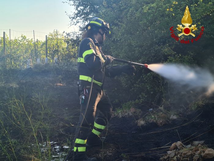 San Dorligo, principio d'incendio vegetazione nel bosco 