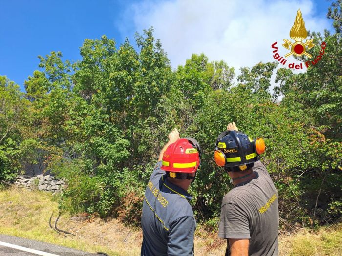 Spento l'incendio sul Carso, oltre 8 ore di intervento per i vigili del fuoco 