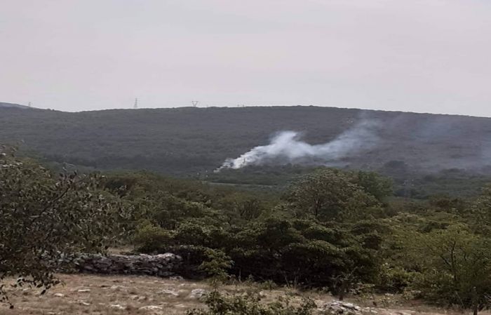 Incendio boschivo in corso in zona Doberdò del Lago 