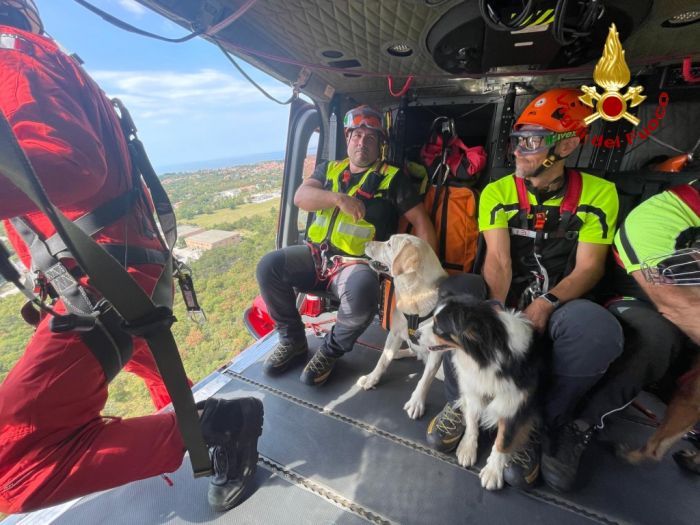 Sul Carso l'addestramento dei soccorritori a 4 zampe Rurik, Maya, Lamù e Nikita (VIDEO) 