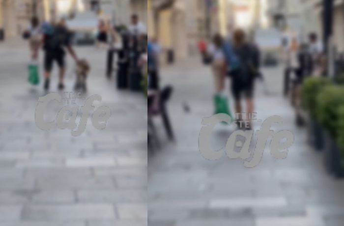 Via Cassa di Risparmio, maltrattamento di un cane in pieno centro a Trieste (VIDEO)