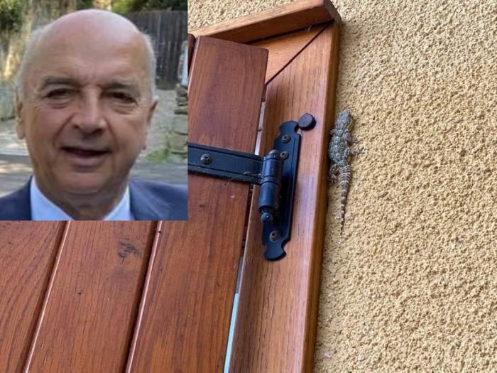 Geco fuori dalla casa del Sindaco, Dipiazza: 'Porta fortuna!' 