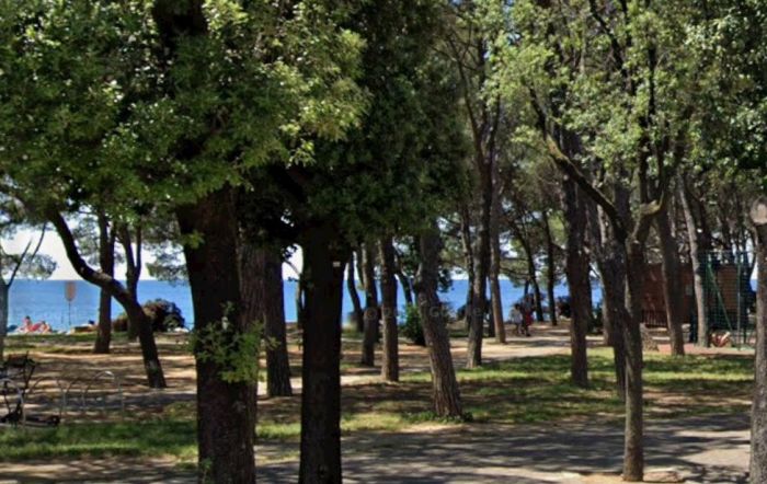 Viale Miramare "caliente", turista esibizionista trovato nudo: nessuno si eccita, ma denuncia