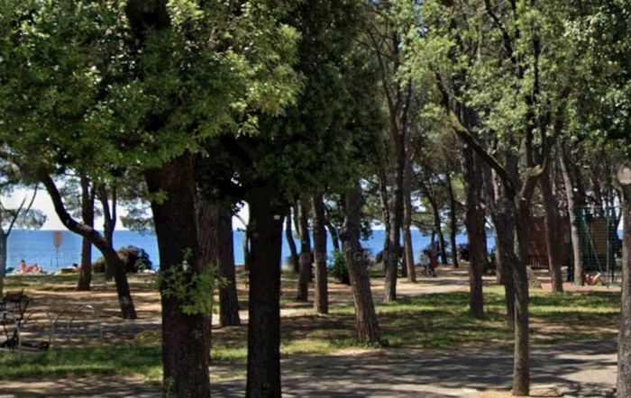 Triestina, Barcola: 'Scarsa illuminazione in pineta, pochi piccoli bottini e assenza bagni' 