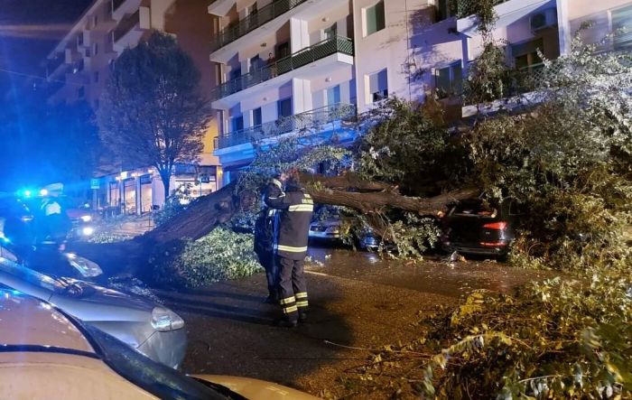 Albero crolla su auto in viale Sanzio, intervento dei vigili del fuoco