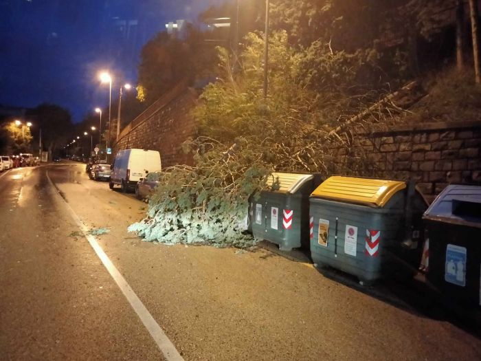 Disagi in via San Pasquale, albero cade sulla carreggiata causa maltempo 