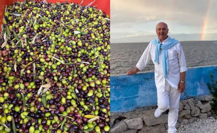 Il sindaco Dipiazza condivide la gioia per il raccolto di olive
