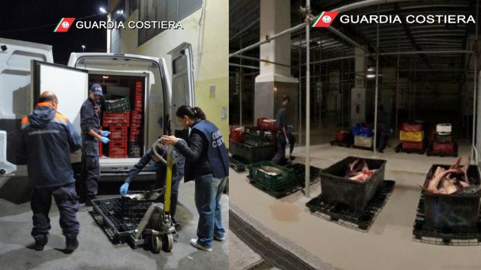 Blitz in frontiera: sequestrate due tonnellate di pesce con identità misteriosa!