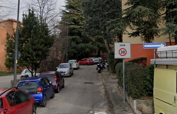 Gattina investita in via Cubi e lasciata senza vita in mezzo alla strada