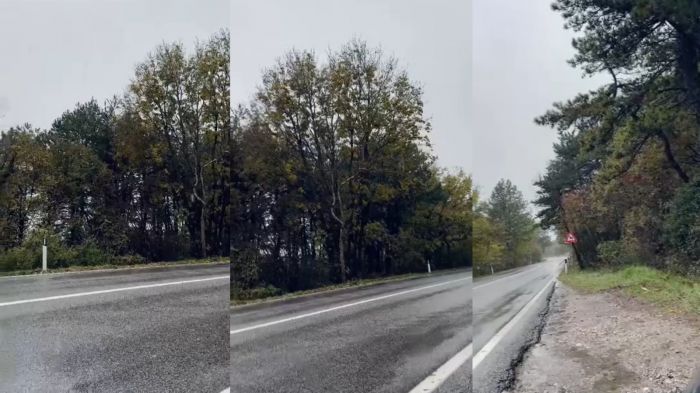 Primi segnali d’inverno: viaggio tra Basovizza e Pesek alla ricerca della neve (VIDEO) 
