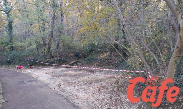 La casetta del bosco del cacciatore: un’oasi distrutta dagli atti vandalici