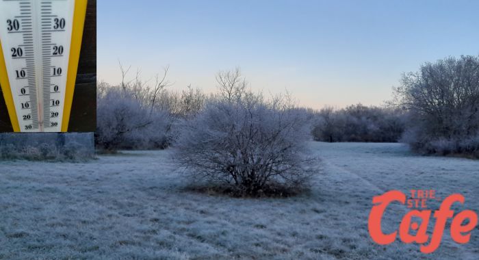 Brina e gelo a Villa Opicina: un risveglio da -7°C nel cuore dell'inverno
