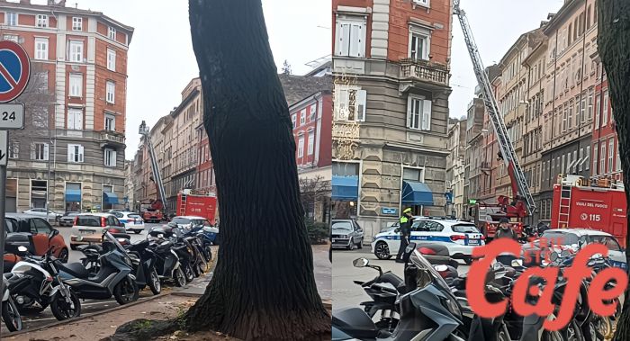 Via Udine chiusa per caduta calcinacci: intervento urgente a Trieste