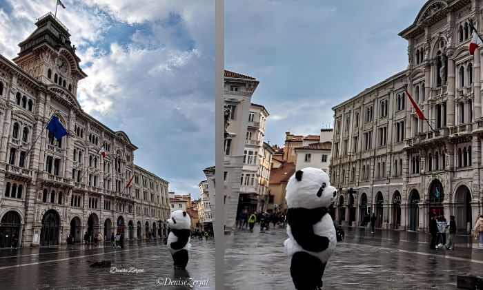Una domenica grigia in piazza Unità, ma il maxi panda porta un sorriso