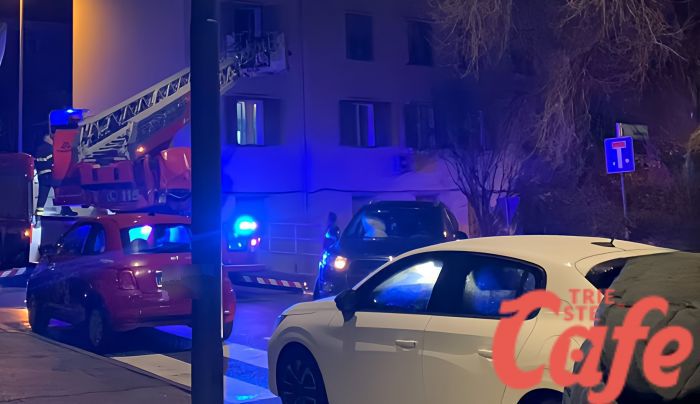 Via Capodistria, vigili del fuoco salvano un cagnolino abbandonato da 5 giorni in un appartamento 