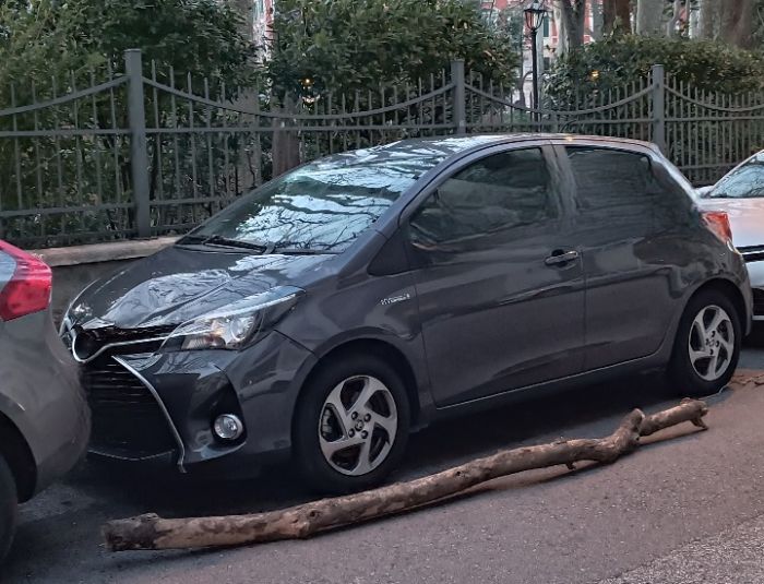 Bora in azione: ramo crolla su un'auto parcheggiata in via Marconi