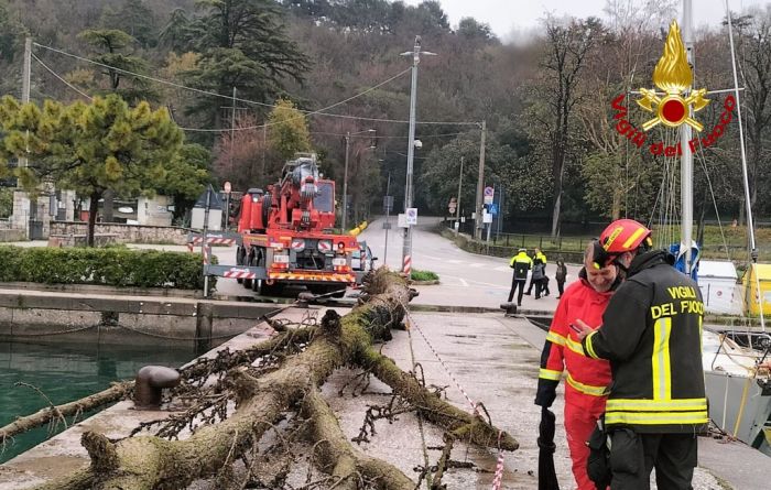 Sistiana, albero di 22 metri in mare: intervento spettacolare dei sommozzatori