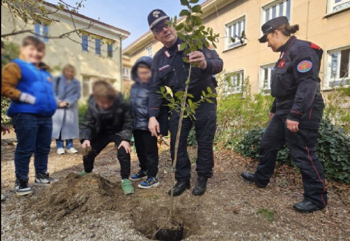 Un piccolo albero, un grande gesto: poesia degli alunni della “Laghi” commuove i Carabinieri