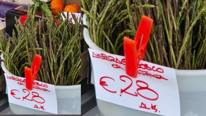 Asparagi a peso d’oro a Trieste, 28 euro al chilo, il lusso è… nel cestino del bosco