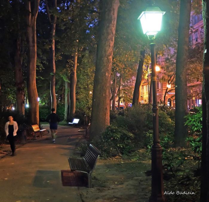 Trieste si risveglia verde: migliaia di nuovi alberi per cambiare il volto della città (VIDEO)