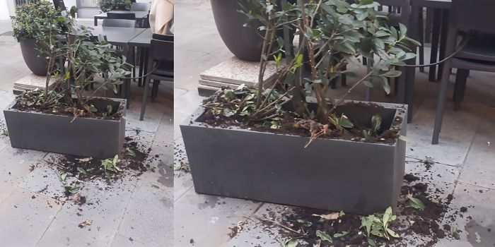 Vandalismo in centro, danneggiato dehors in via Cassa di Risparmio: ignoti in azione nella notte