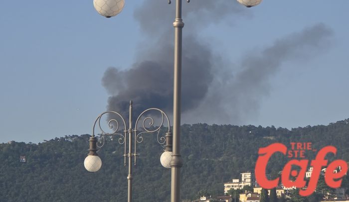 Incendio a Opicina, colonna di fumo nero visibile da diverse parti del centro (VIDEO) 