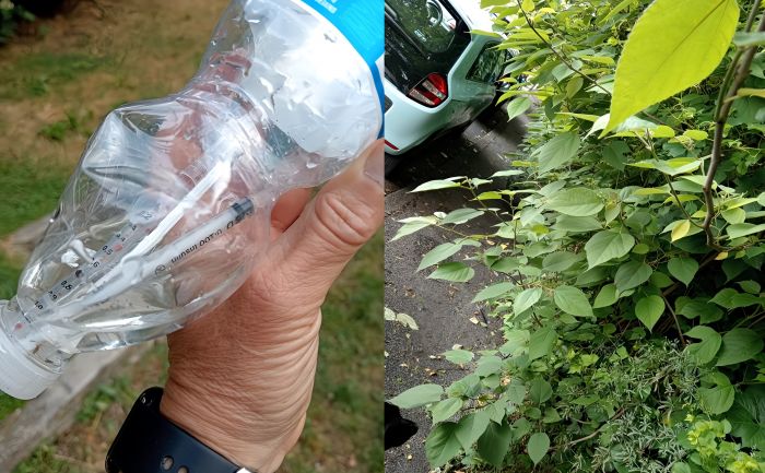 Ponziana, denuncia di una triestina: “Panchine scomode, rifiuti e siringhe insanguinate nel parco”