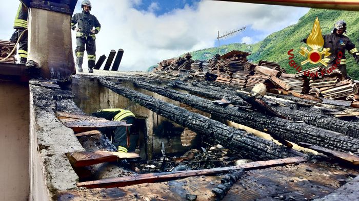 Veneto, capriolo rimane incastrato tra le sbarre di un’inferriata: salvato dai vigili del fuoco