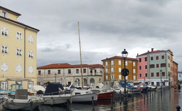 Muggia, anziana trovata in mare durante il corteo Tirso: salvata dagli agenti, è in gravi condizioni