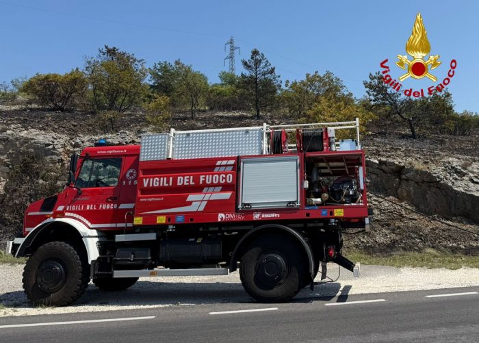 Incendio tra San Giovanni di Duino e Medeazza: intervento fulmineo evita il peggio