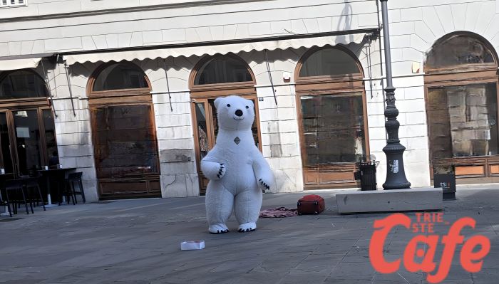 Ferragosto bollente a Trieste… ma in piazza della Borsa spunta un orso polare