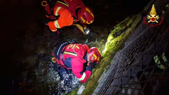 Vigili del fuoco salvano il gatto “Cacio” Caduto in un torrente