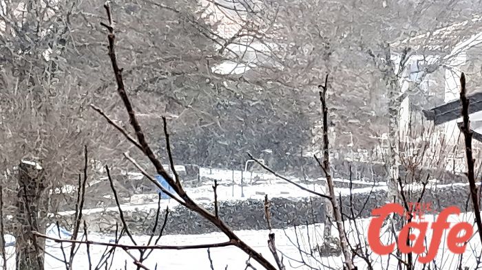 Scuole chiuse a Trieste per neve e bora, ecco l’ordinanza urgente per mercoledì 7 gennaio (DOCUMENTO)