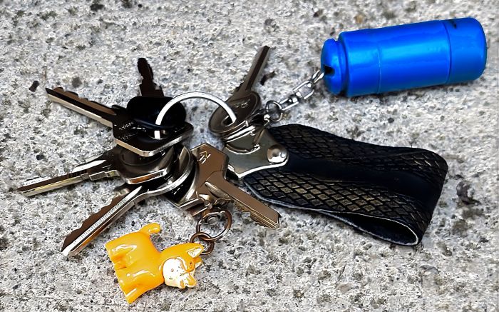 Trieste, chiavi ritrovate a villa Revoltella: appello per rintracciare il proprietario