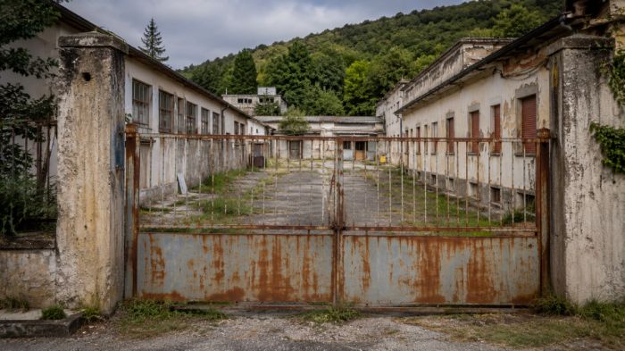 Ex mattatoio di Prosecco, associazioni animaliste in campo: incontro pubblico alla Minerva