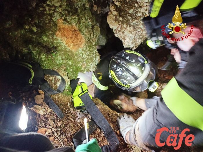 Si infila in uno stretto condotto senza riuscire ad uscire, il cagnolone BEA salvata dai Vigili del Fuoco! (FOTO)